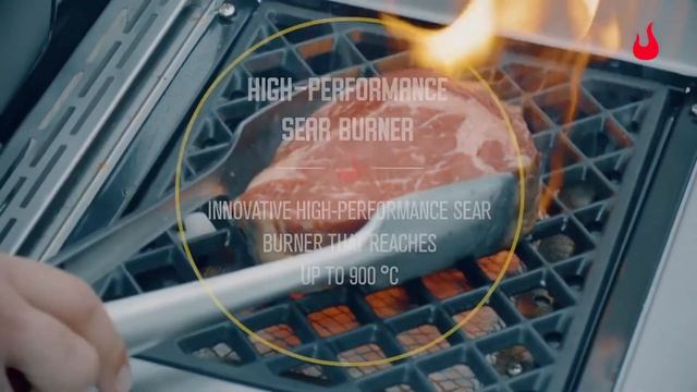 Газовый гриль Char-Broil Professional PRO 4S