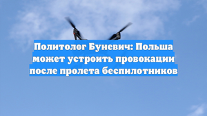 Политолог Буневич: Польша может устроить провокации после пролета беспилотников