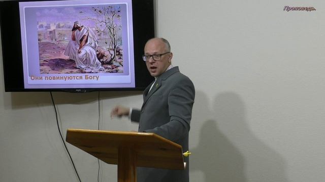 Спроси у животных. смотреть онлайн