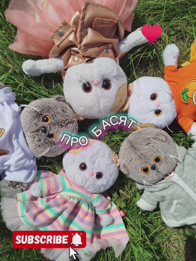 ХОББИ БАСИКОВ 🌷
#БАСИКИ БАСЯТА КОТ БАСИК# смотреть онлайн