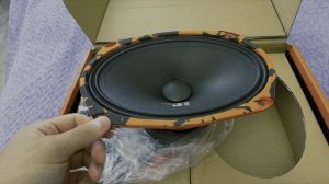 Dl Audio Gryphon Pro 69 в заднюю полку Приоры