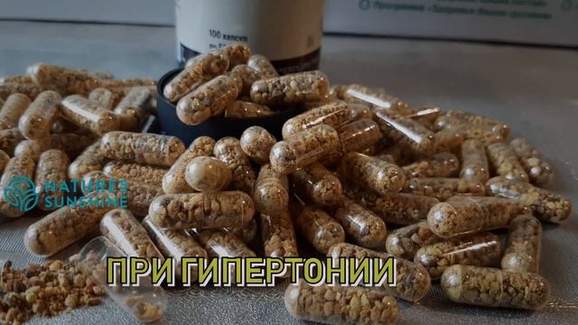 Пчелиная пыльца НСП. Преимущества и особенности. смотреть онлайн