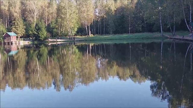 Утренний обзор с нижнего водоёма. Клёвое место, Лосиный остров.