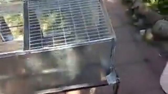 Сетчатые клетки Долматова часть 2.