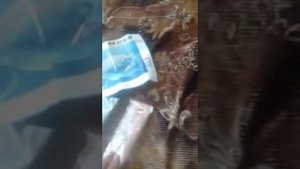 Обзор покупки с сайта Joom.