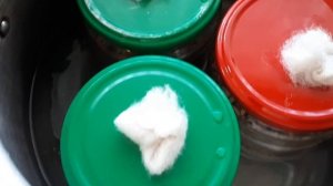 Мицелий вешенки своими руками.