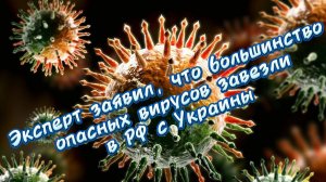 300 случаев АЧС — это только начало. Что ещё «подарило» нам Украину Список заставит вас задрожать…