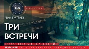 Три встречи - Иван ТУРГЕНЕВ (читает Евгений ТЕРНОВСКИЙ) | аудиокниги слушать бесплатно онлайн