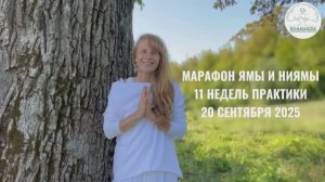 ОНЛАЙН-МАРАФОН ПО ЯМАМ И НИЯМАМ | СТАРТ 20 СЕНТЯБРЯ 2025