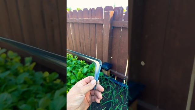 Будуємо Пoливну систему.￼ #fyp #viral #summer #fyppp#огород #томат смотреть онлайн