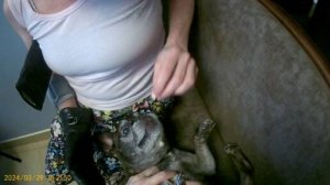 Когтестрижка 29.03.24