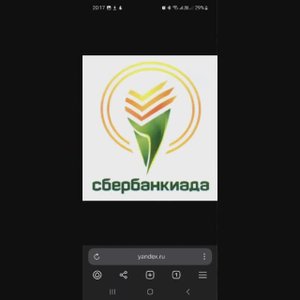 Судейство Сбербанкиада в Рамони 07.06.2025