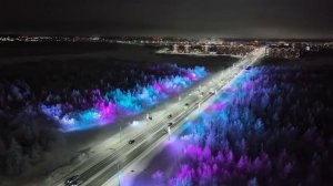Сказочный лес NITEOS