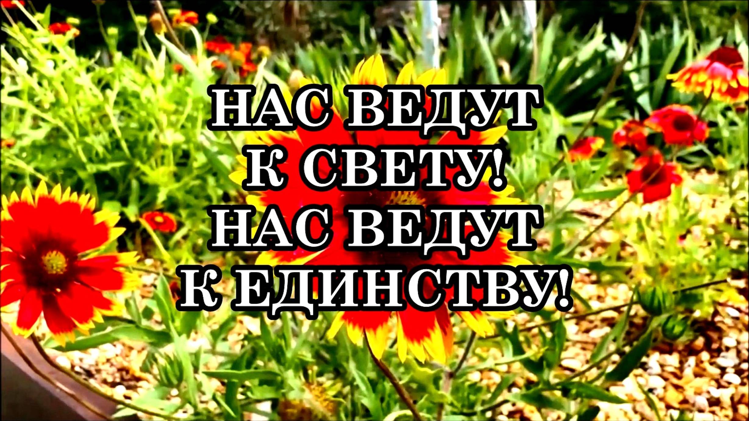 НАС ВЕДУТ К СВЕТУ! НАС ВЕДУТ К ЕДИНСТВУ!