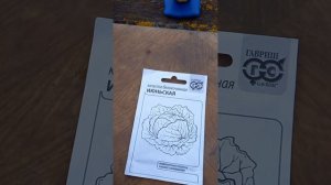 Открываем  дачный  сезон! Приехали посмотреть на участ