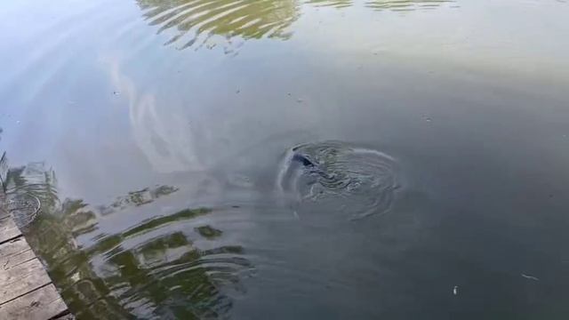 -8949052965855956973