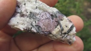 Мурманит купить