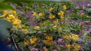 Продам домик в станице краснодарского края не дорого ,