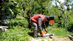 Почему двигатель заводится и глохнет?