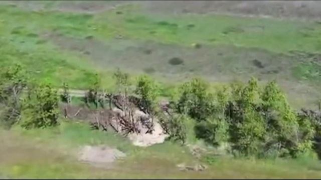 Карлсон, Малыш и Ко... 10 09 25