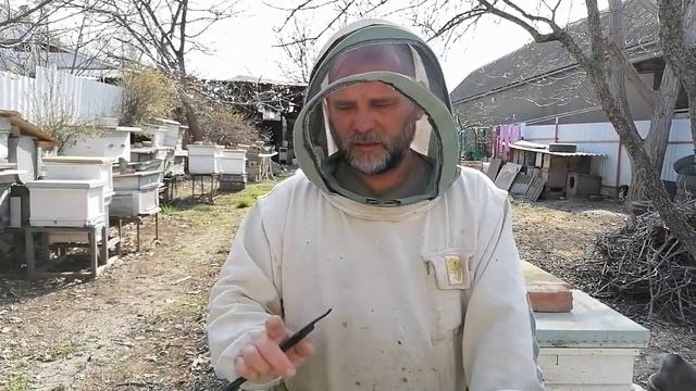 НАША ПАСЕКА результат подсиливания семей перестановк смотреть онлайн