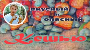 Кешью. Орех, который очень полезен, но и опасен в то же время! #travelvlog #india #cashew