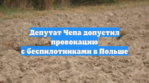 Депутат Чепа допустил провокацию с беспилотниками в Польше
