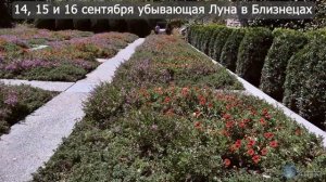 ЛУННЫЙ ПОСЕВНОЙ КАЛЕНДАРЬ НА СЕНТЯБРЬ 2025