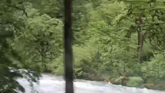 Абхазия 2025, Сухум, озеро Рица, замок Бограта, Garuba beach Village