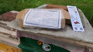 #бакфаст У нас полнение - матка ИО от Михаила Гращенко .