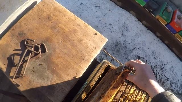 Зимой пропала матка. Что делать? Как подсадить матку з? смотреть онлайн