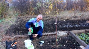 Искореняющая осенняя обработка сада от болезней и вре