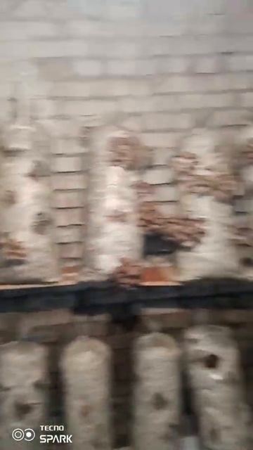 БИЗНЕС ВО ВРЕМЯ САНКЦИИ смотреть онлайн