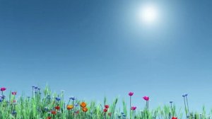 Я хочу быть... музыка Олега Сапегина, слова Владимира Бамбаева