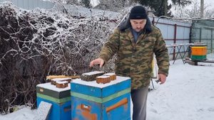 🌤️ Какой тип улья лучше себя показывает при зимовке ?