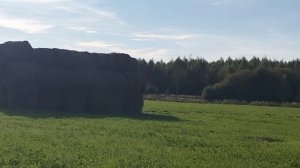 сенокос