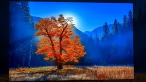 Одиночество и осень - / Джеймс Ласт, Одинокий пастух. /