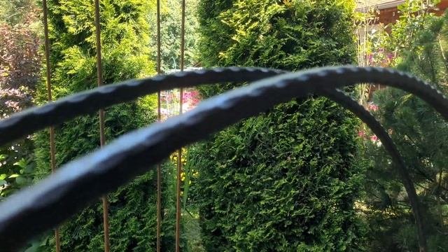 Делаем опоры для роз и арку для калитки