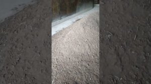 Подготовка грунта для высадки саженцев винограда