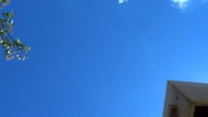 Как в улье Варре пчелы формируют гнездо