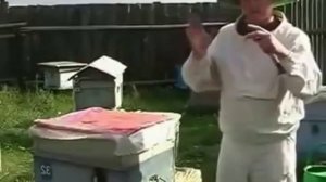 Норвежский метод. Плюсы зимовки пчёл.Часть 3
