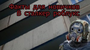 факты для новичков в сталкер роблукс
