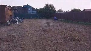 Подготовка участка под газон