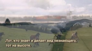 Запрещённые цитаты Лао Цзы - вдохновение, поддержка, решение  #афоризмы #цитаты