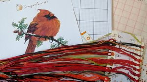 Красный кардинал (Orange Love, HX-9006)_ обзор набора