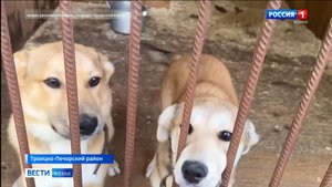 Юные активисты Троицко-Печорска присоединились к Всероссийской акции «Носики Первых»