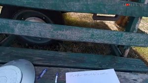 Урожайность озимой ржи 2020г.