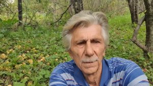 Светит, да не греет!