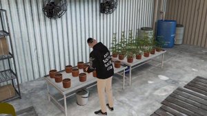 ВЫРАЩИВАНИЕ ТРАВЫ НА МАТРЁШКА РП | MATRESHKA RP | CRMP MOBILE