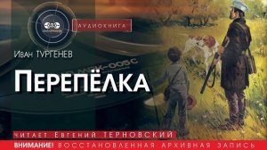 Перепёлка - Иван ТУРГЕНЕВ (читает Евгений ТЕРНОВСКИЙ) | аудиокниги слушать бесплатно онлайн